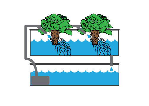 http://Illustration%20of%20a%20drip%20hydroponic%20system