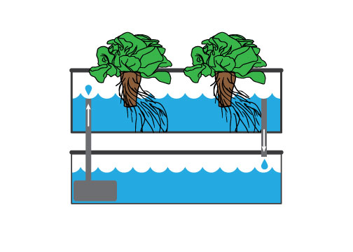 http://Illustration%20of%20an%20ebb%20flow%20hydroponic%20system