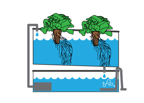http://Illustration%20of%20a%20NFT%20(nutrient%20film%20technique)%20hydroponic%20system